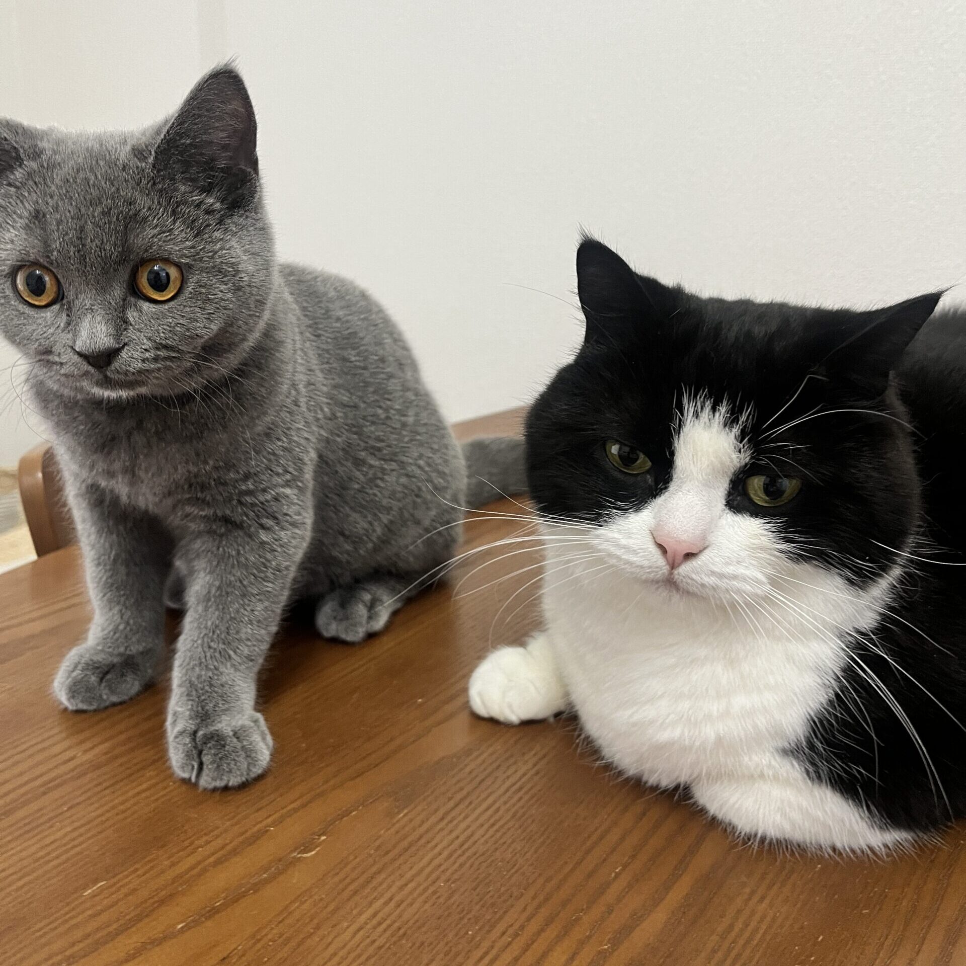 高橋 美光さんの趣味・特技の写真1